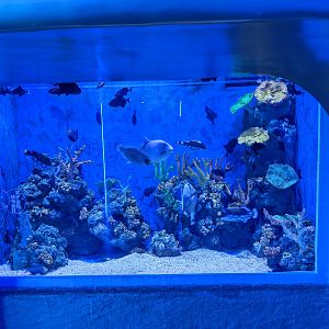 Ocean World (Guangzhou)