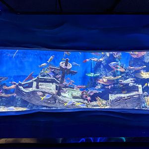 Ocean World (Guangzhou)