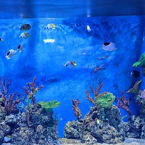 Ocean World (Guangzhou)