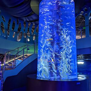 Cylinder tank - Ocean World (Guangzhou)
