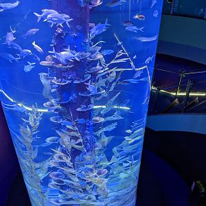 Cylinder tank - Ocean World (Guangzhou)