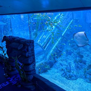 Escalator tank - Ocean World (Guangzhou)