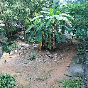 Interior of walk-through aviary