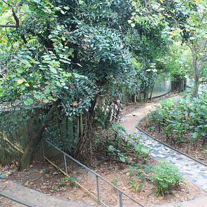 Interior of walk-through aviary