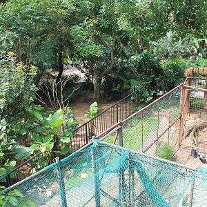 Interior of walk-through aviary