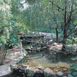 Interior of walk-through aviary