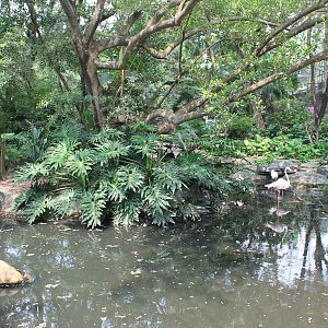 Interior of walk-through aviary