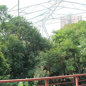 Interior of walk-through aviary