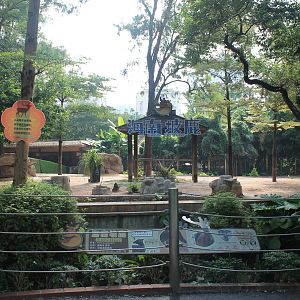 Enclosure for Hainan Eld's Deer (Cervus eldii hainanus)