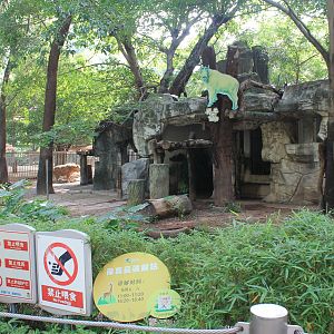 Enclosure for Takin (Budorcus taxicolor)