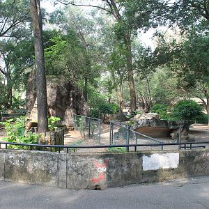 Enclosure for Reeves' Muntjac (Muntiacus reevesi)