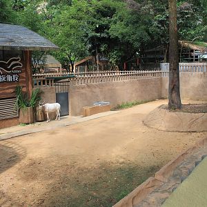 Enclosure for Addax (Addax nasomaculatus)