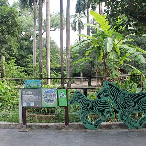 Enclosure for Plains Zebra (Equus quagga)