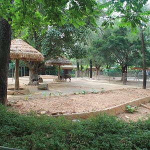 Enclosure for Asian hoofstock