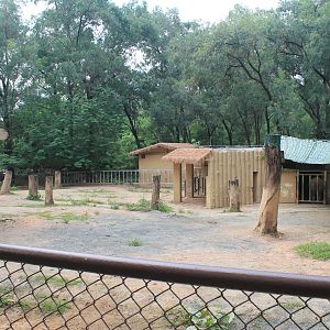 Enclosure for White Rhinoceros (Ceratotherium simum)