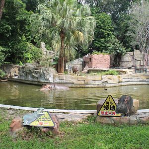 Enclosures for Common Hippopotamus (Hippopotamus amphibius)
