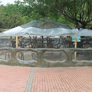 Aviary - Childrens Zoo