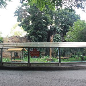 Tiger enclosure