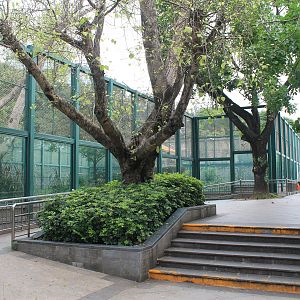 Tiger enclosures