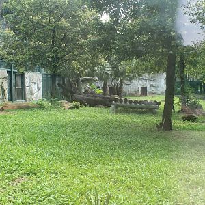White Lion enclosure