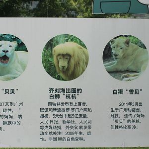 White Lion signage