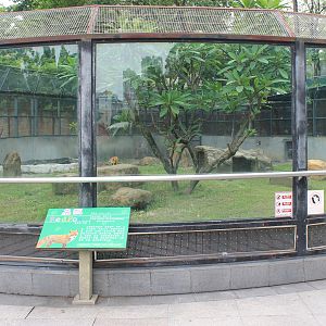 Enclosure for Red Foxes (Vulpes vulpes)