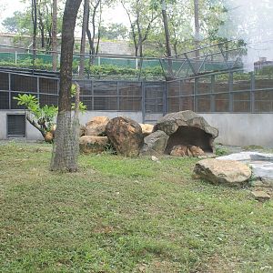 Enclosure for Wolf (Canis lupus)