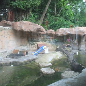 Enclosure for Small-clawed Otter (Aonyx cinereus)