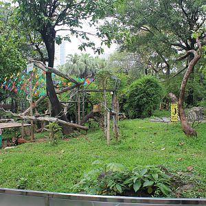 Enclosure for Chinese Red Panda (Ailurus [fulgens] styani)