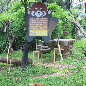 Enclosure for Chinese Red Panda (Ailurus [fulgens] styani)