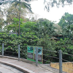 Enclosures for Raccoons and Himalayan Porcupines