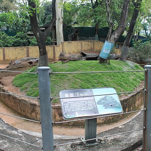 Enclosure for Himalayan Porcupine (Hystrix brachyura hodgsonii)
