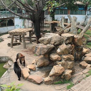 Enclosure for Brown Bear (Ursus arctos)