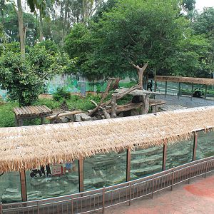 Enclosure for Asiatic Black Bear (Ursus thibetanus)