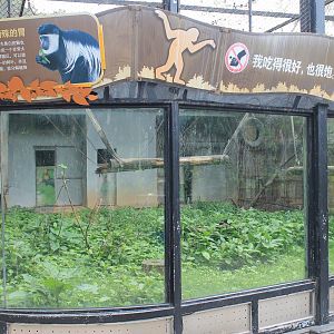 Cage for Black and White Colobus (Colobus guereza)