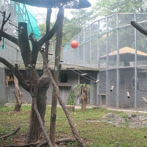 Cage for Golden Snubnose Monkeys (Rhinopithecus roxellana)