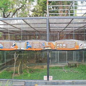 Cage for Francois' Langurs (Trachypithecus francoisi)