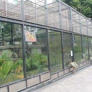 Cages for gibbons