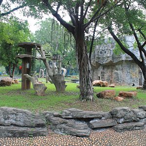 Open enclosure for Common Chimpanzees (Pan troglodytes)