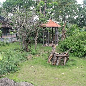 Open enclosure for Ring-tailed Lemurs (Lemur catta)