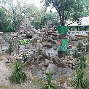 Enclosure for Rhesus Macaques (Macaca mulatta)