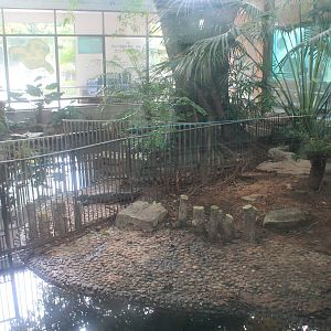 Enclosures for Chinese Alligators (Alligator sinensis)
