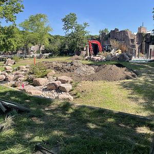 6/28/2025 - Adventure Africa: Phase 3 Construction