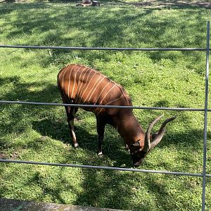 6/28/2025 - I Am Groot!