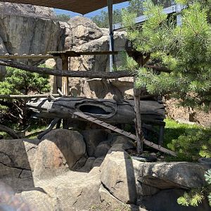 6/28/2025 - Red Panda Habitat