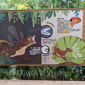 Signage for Komodo Dragons (Varanus komodoensis)