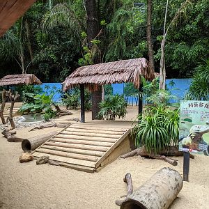 Enclosure for Komodo Dragons (Varanus komodoensis)