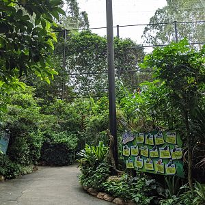 Walk-through aviary