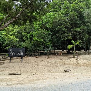 Drive-through safari area