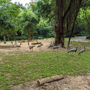 Drive-through safari area